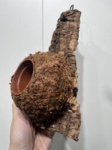 水苔球12.5cm送绑绳B398 24.5厚度3cm 一物一拍软木板水苔球 板14