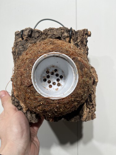 一物一拍软木板水苔球 板18*19厚度4cm 水苔球15cm送绑绳B533