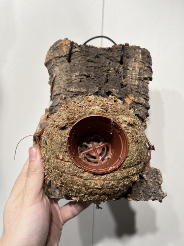 一物一拍软木板水苔球 板17*21厚度4cm 水苔球12.5cm送绑绳B653