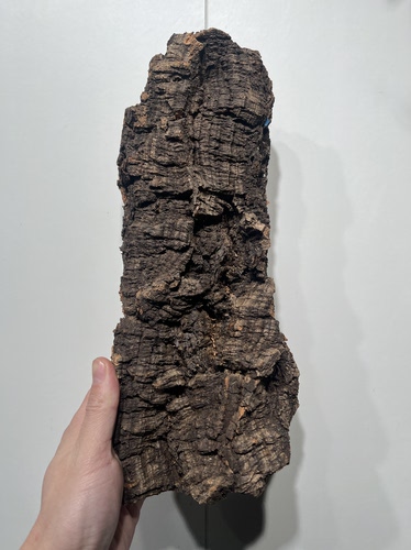 一物一拍 软木板尺寸13*31厚度5cm 送绑绳/螺丝/吕线挂钩 C02