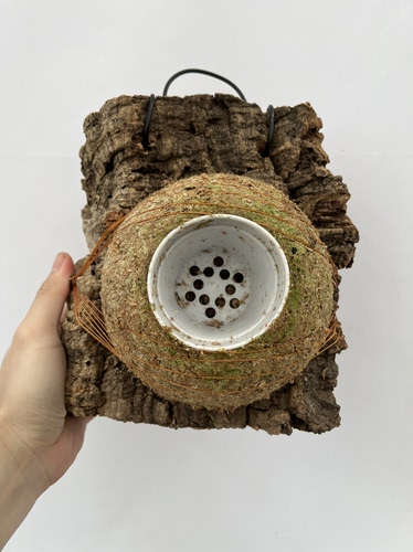 一物一拍软木板水苔球 板19*20厚度4cm 水苔球14.5cm送绑绳B686