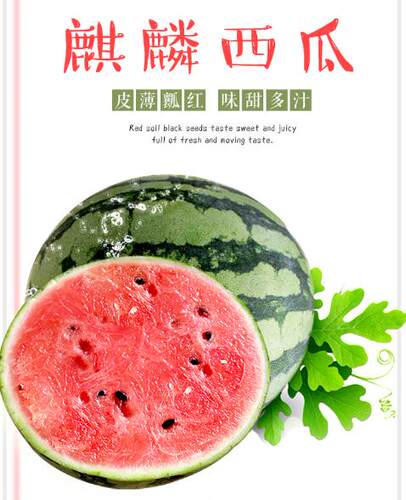 麒麟西瓜1个约2.25kg新鲜水果整箱1个包邮