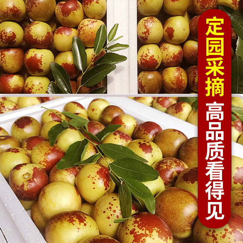 李长娃农场冬枣新鲜脆甜特大枣子当季水果现货纯天然当季水果现货
