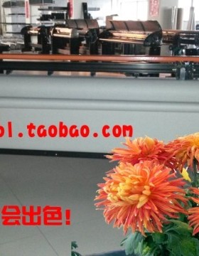 十年老店/瑞宇实用型连供喷墨博艺快步松/井/赛玞PM2200实喷2米