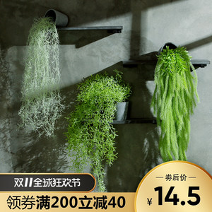 【仿真植物壁挂藤蔓垂吊图片】仿真植物壁挂藤