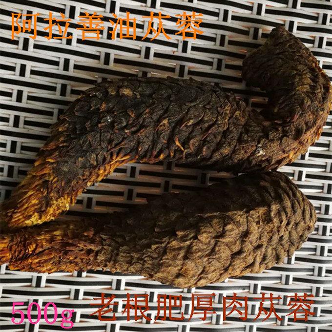 肉苁蓉内蒙古阿拉善整根男性滋补500g泡酒料非新疆苁蓉锁阳淫羊藿