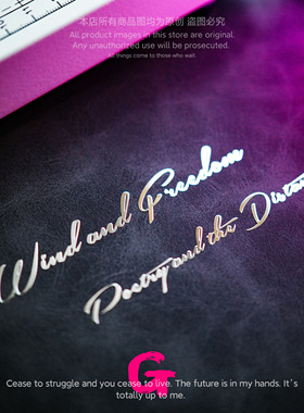 粉G个性创意英文金属贴纸风和自由诗与远方高级感立体平板电脑贴