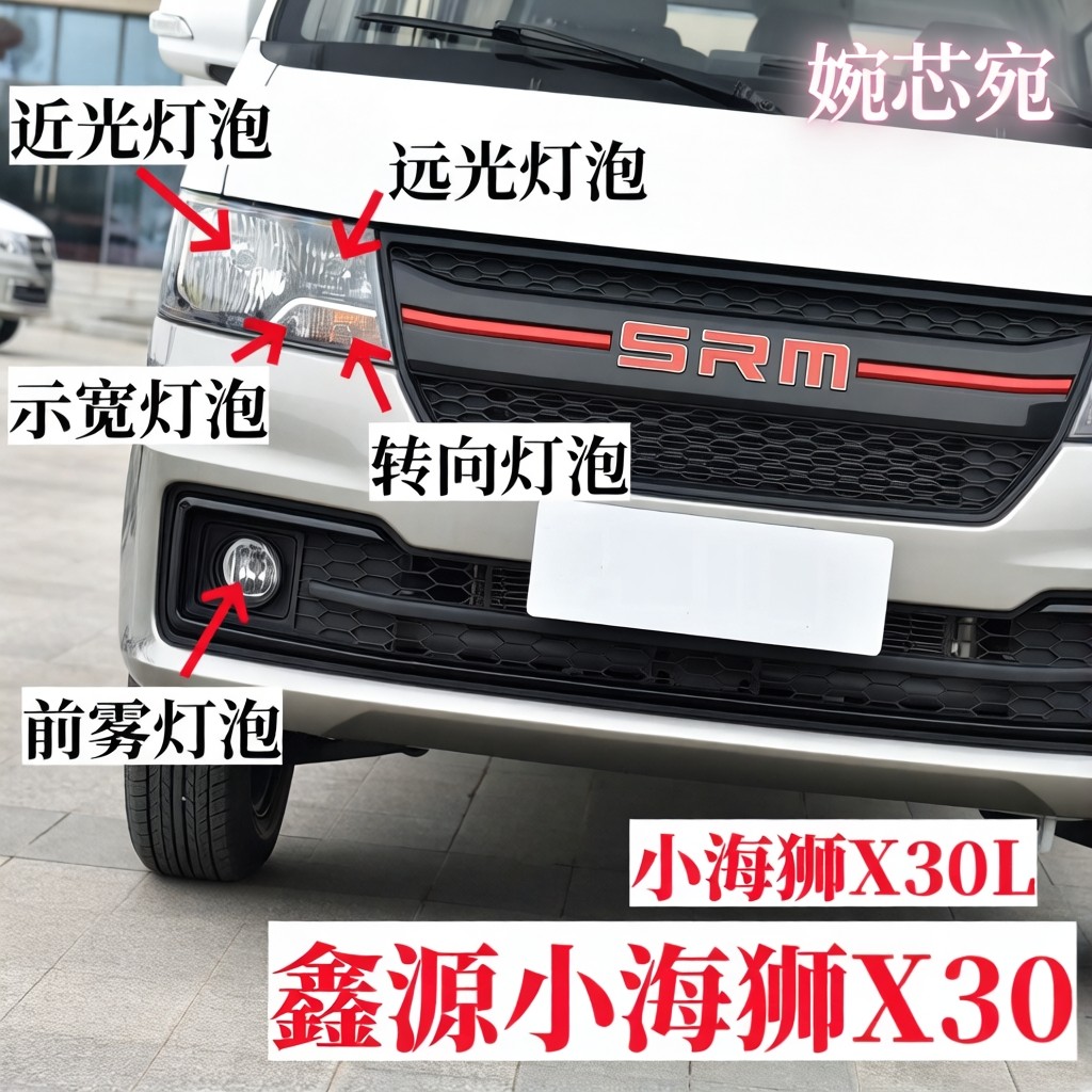 适用鑫源货车小海狮X30L图片