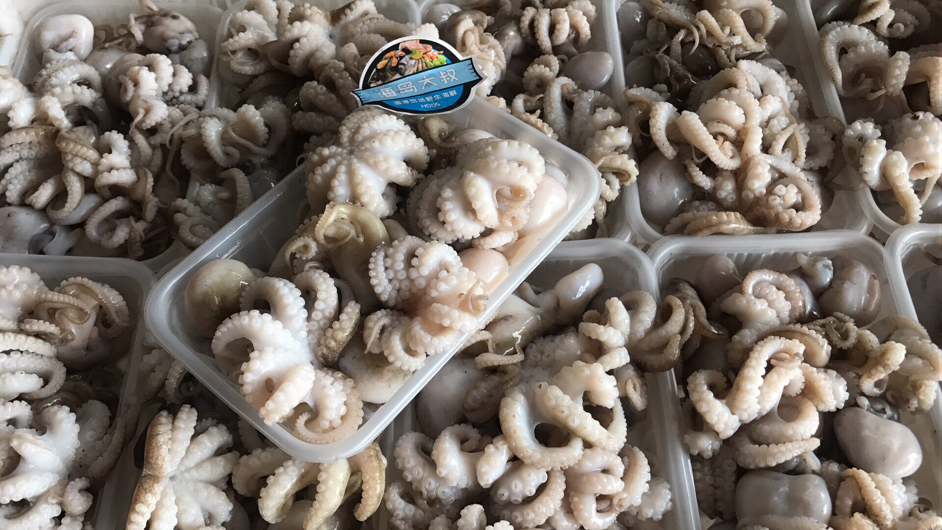 海鲜水产长腿盒装八爪鱼