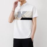 25039-特P35夏季休闲时尚T恤男短袖打底衫休闲翻领短袖polo衫男，男装T恤，电商D310（原电商305）