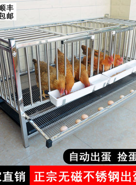 不锈钢滚蛋笼自动滚蛋鸡笼家用鸡窝防鸡吃蛋防啄蛋蛋鸡专用笼蛋托