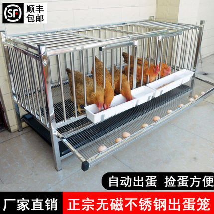 不锈钢滚蛋笼自动滚蛋鸡笼家用鸡窝防鸡吃蛋防啄蛋蛋鸡专用笼蛋托