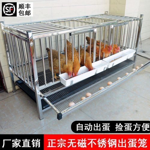 不锈钢滚蛋笼自动滚蛋鸡笼家用鸡窝防鸡吃蛋防啄蛋蛋鸡专用笼蛋托 - 封面