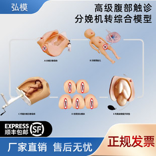 手摇分娩机转模型分娩机制教具妇产科助产示教模型孕妇分娩模型
