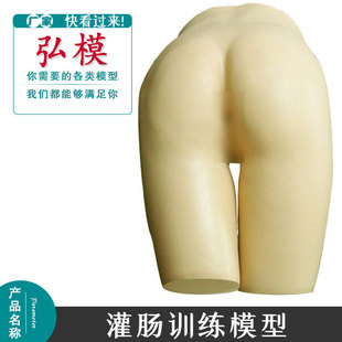 弘模灌肠训练模型 模拟人 假人 橡皮人 灌肠操作模具护理培训模型