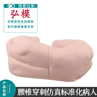 HOM腰椎穿刺仿真标准化病人临床穿刺真实情节模型 假人 橡皮人