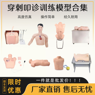 弘模高级穿刺模型腰椎穿刺腹部穿刺胸腔穿刺背部穿刺心包穿刺骨髓
