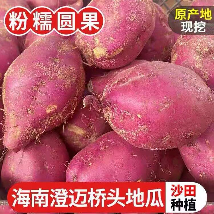 海南地瓜澄迈桥头地瓜