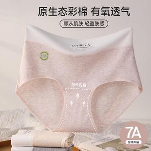 60S彩棉大码 秋冬 内裤 女200斤7A抗菌纯棉加长裆高腰收腹包臀三角裤