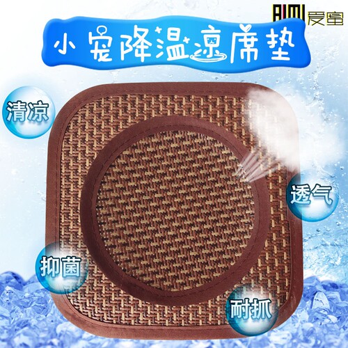 蜜袋鼯夏天散热板降温仓鼠刺猬
