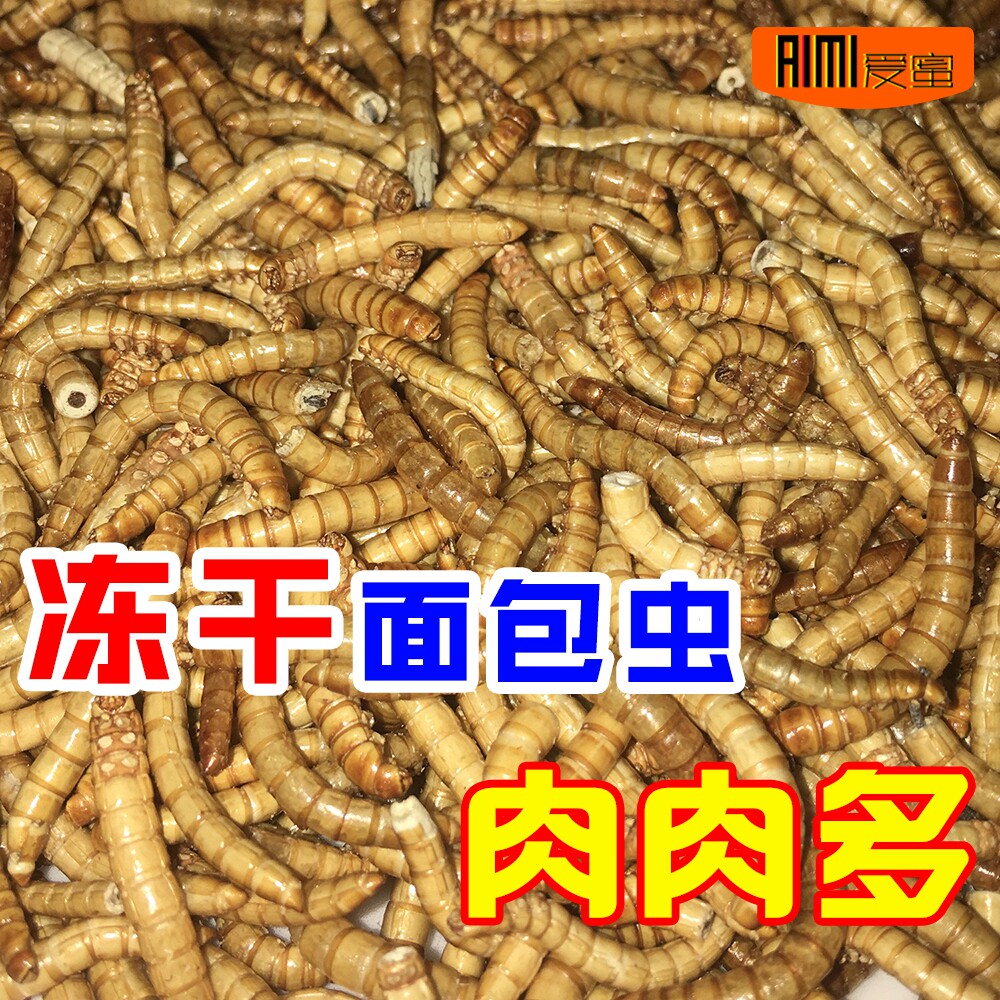 蜜袋鼯零食冻干面包虫干松鼠零食仓鼠花枝大麦虫干刺猬高蛋白营养