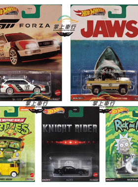 风火轮DMC55Q批次娱乐套FORZA奥迪RS2瑞克莫蒂飞船忍者神龟kitt