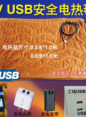 调温5V伏电加热USB低压充电宝电褥子学生工地宿舍户外床垫电热毯