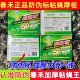 春禾粘蝇纸夏季 粘蝇王苍蝇贴粘蝇胶绿春禾灭蝇神器加厚型物理灭蝇