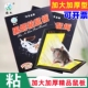 春禾粘鼠板特大加厚粘鼠贴黑妮吸鼠物理灭鼠神器家用加大号粘大鼠