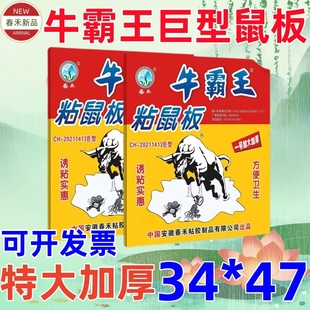 粘鼠贴灭鼠神器加大号粘大鼠专用板 春禾牛霸王巨型粘鼠板特大加厚