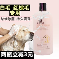 Pet cat dog gel tắm Teddy gấu trắng lông chó nâu lông tắm đặc biệt chất lỏng diệt vi khuẩn khử trùng khử mùi - Cat / Dog Beauty & Cleaning Supplies lược chải lông thỏ	