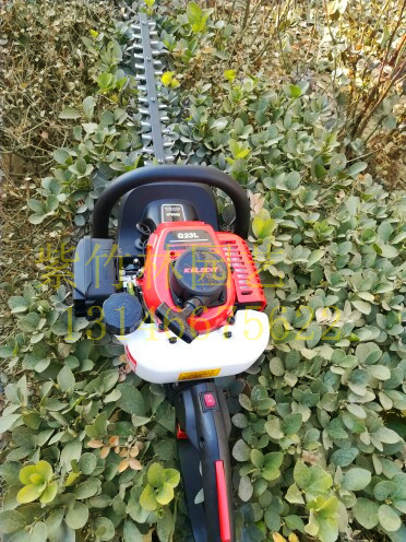 台湾进口G23L绿篱机采茶机双刃绿篱机HT6500黄杨修剪机绿篱剪