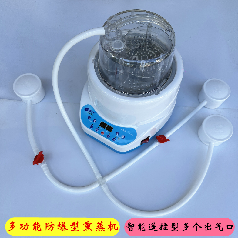 全新【各种多个出气口】熏蒸机家用蒸汽机桑拿箱汗蒸锅药材熏蒸仪
