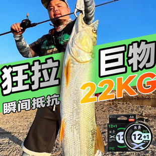 虫王路亚X12编PE线进口原丝超顺滑远投专用100米150米虫爵4号5号6