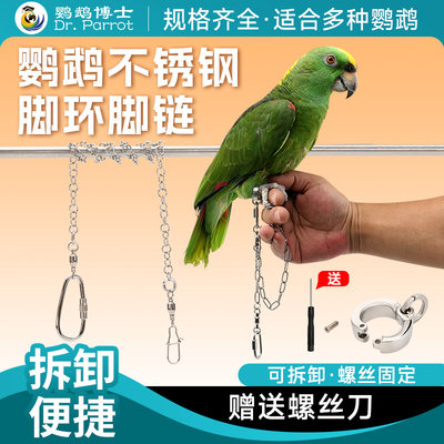 鹦鹉脚环脚链不锈钢和尚玄凤鸟链