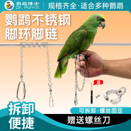 鹦鹉脚环脚链不锈钢鸟链子和尚小太阳玄凤鸟放飞绳站架鸟链子用品