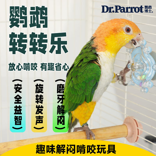 和尚凯克鹦鹉解闷自嗨啃咬鸟玩具