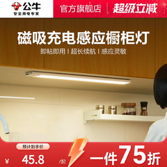 公牛橱柜灯带led酒柜灯充电人体感应灯条无线自粘厨房鞋柜衣柜灯