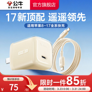 30W一套装 适用苹果17充电器线iPhone17ProMax快充头16手机typec数据线15正品 公牛冰立方新款 3C国家认证