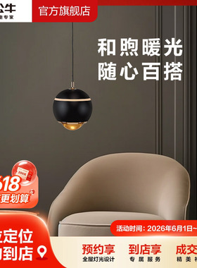 【门店同款】公牛LED卧室窗头吊灯高端白色铝制吊灯三色变光