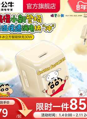 【苹果17首选】公牛蜡笔小新IP联名冰立方充电头适用苹果充电器线iPhone17P快充头16手机typec数据线正品30W