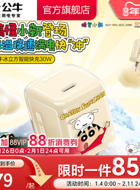 【苹果17首选】公牛蜡笔小新IP联名冰立方充电头适用苹果充电器线iPhone17P快充头16手机typec数据线正品30W