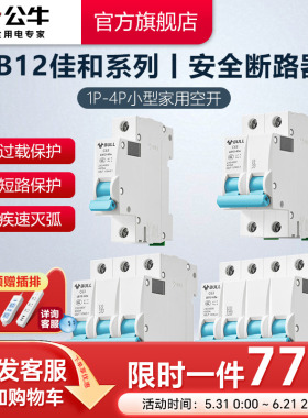 公牛插座旗舰小型断路器空气开关家用空开电闸开关2P升级款LB12