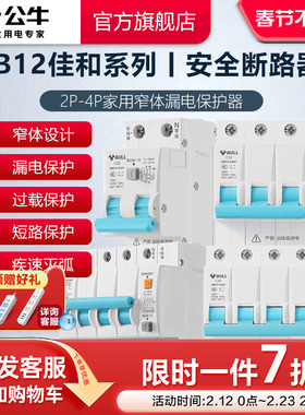 公牛插座旗舰断路器2P漏电保护空气LB12开关电闸16-63A升级款