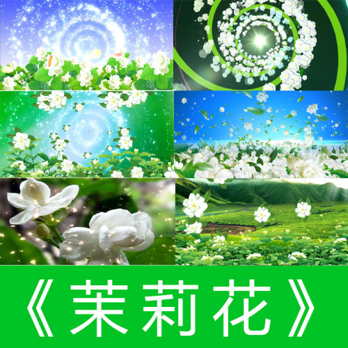 茉莉花  唯美清新民歌舞蹈 歌曲成品 LED大屏幕背景高清视频素材