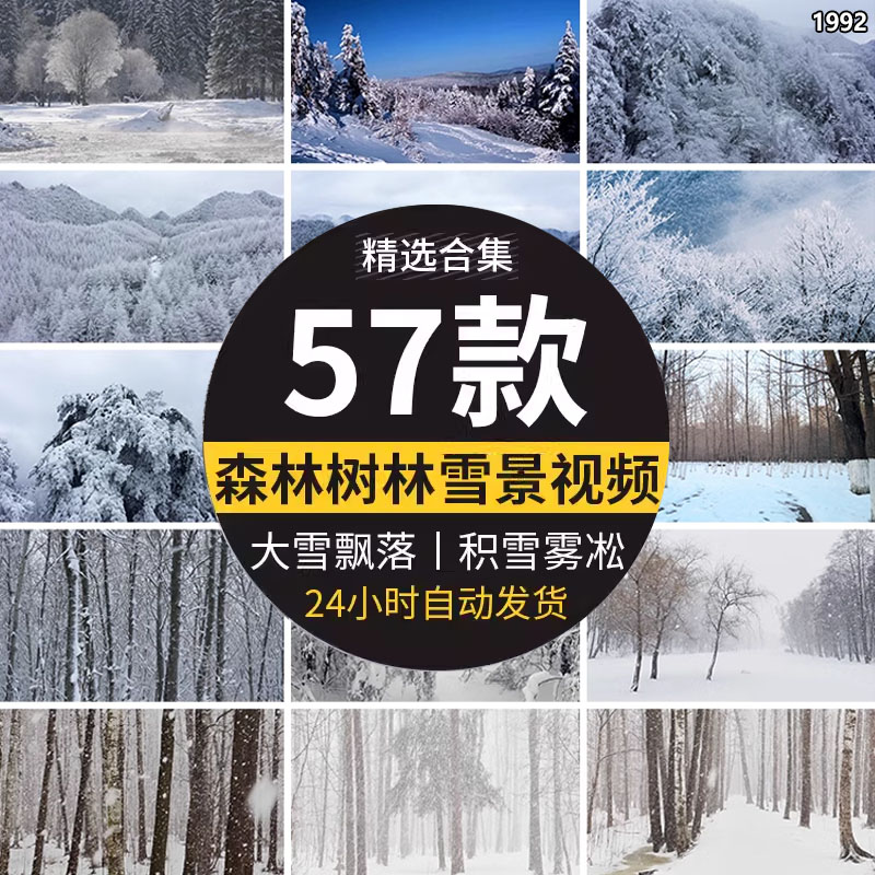 实拍大山下雪森林风景色树林雪景大雪纷纷飘落积雪冬季短视频素材