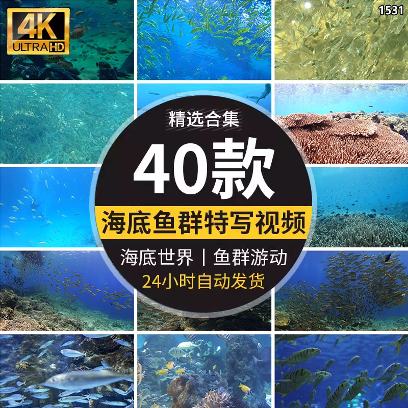 大海底世界唯美景色小鱼群成群游动观赏鱼海洋馆led视频背景素材