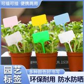园艺植物标签牌小号彩色100条插地牌标识牌苗木加厚防晒多肉插牌