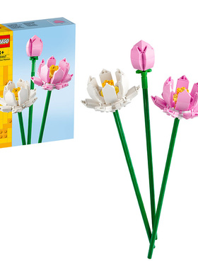 LEGO乐高40647花植系列荷花女孩装饰房屋积木拼装礼物玩具