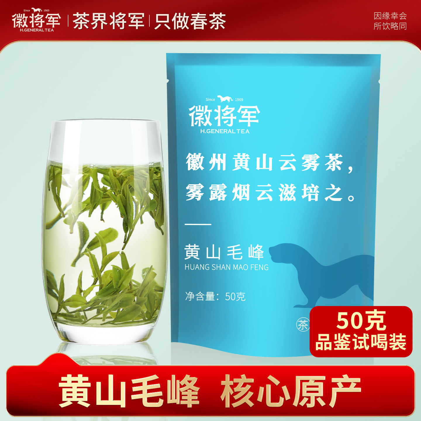 雨前毛峰试喝装安徽茶叶袋装50g